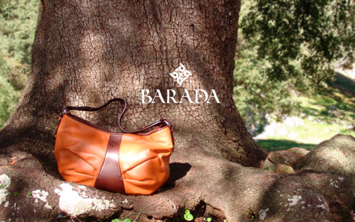 barada2010-2