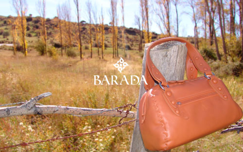 barada2010-3