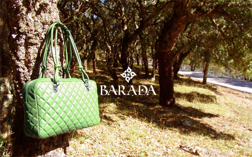 barada2010