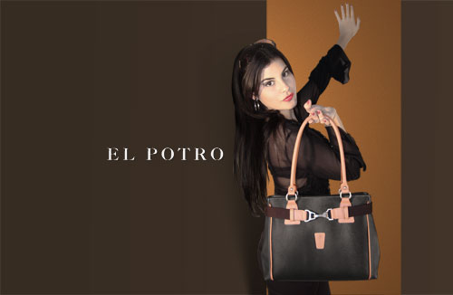 elpotro-invierno-2010-2