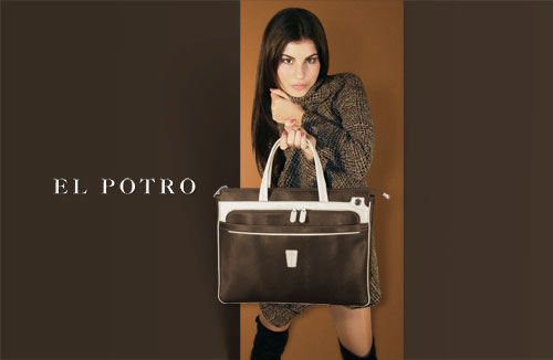 elpotro-invierno-2010